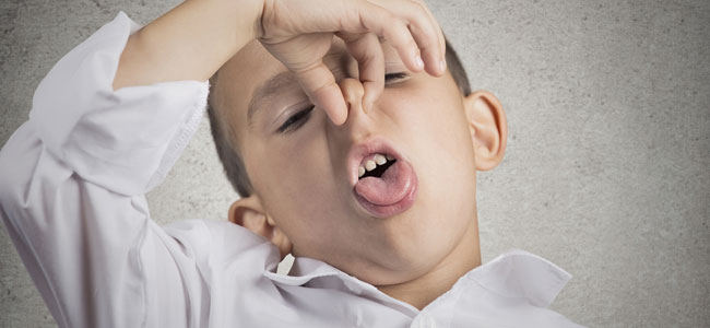 Consejos para introducir el pescado en la dieta infantil