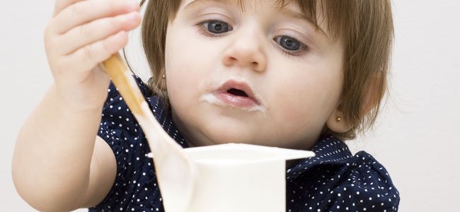 Introducir yogur a la dieta de los bebés Introducir yogur a la dieta de los bebés