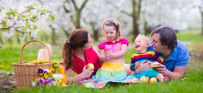 La psicología en la alimentación de los niños Familia come picnic