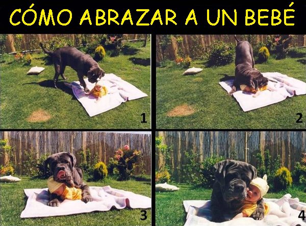 Cómo abrazar a un bebé Abrazo de Perro a un bebé