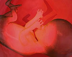 Bebé feto semana 27 Bebé feto semana 27