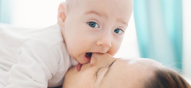 El vínculo del bebé con sus padres Bebé chupa nariz madre