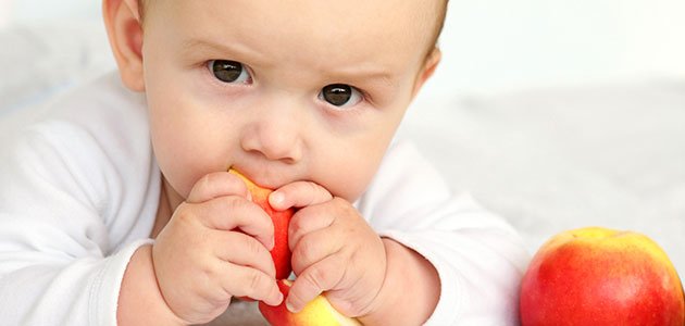 Baby led weaning Bebé mastica fruta