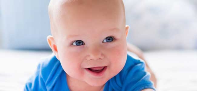 El nombre de Fernando El nombre de Fernando para tu bebé