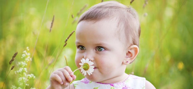 Significado del nombre de Margarita Bebé huele flor