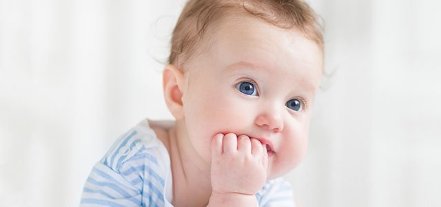 Bebés tauro Bebé se chupa mano