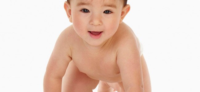 Gateo del bebé Gateo del bebé