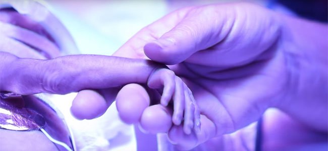 Niños prematuros dan las gracias a la enfermera que les cuidó Mano de bebé prematuro