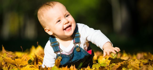 Nombres de escritores famosos para bebés Bebé en campo de hojas