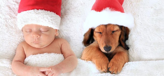 El nombre de Nicolás El santo de Nicolás es el 6 de diciembre