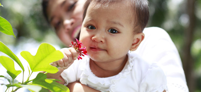 sentido del olfato para niños