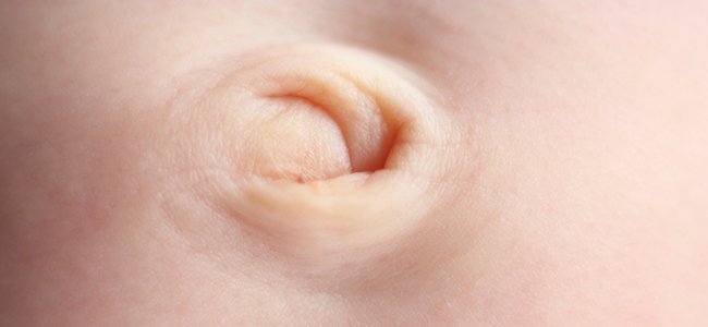 ¿Para qué sirve el ombligo del bebé? ¿Para qué sirve el ombligo del bebé?