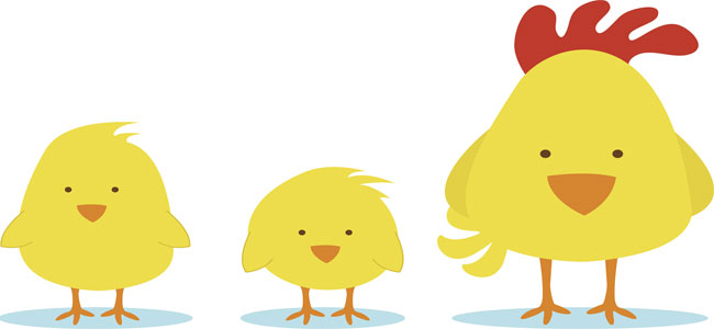 Los pollitos. Canción para jugar con el bebé