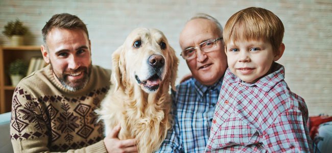 El respeto por los padres