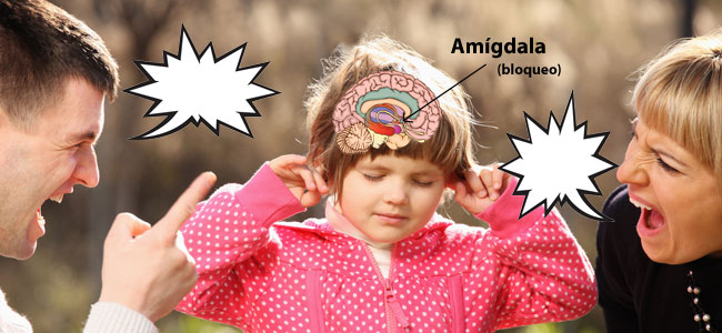 El cerebro del niño no aprende cuando le gritan El cerebro del niño no aprende cuando le gritan