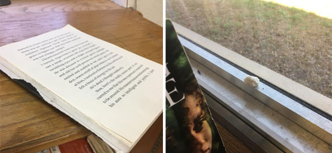 Destrozos de unos alumnos en clase Destrozos de unos alumnos en clase