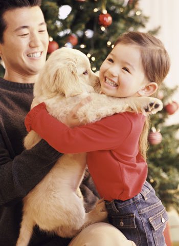 Juegos en familia Juegos en familia