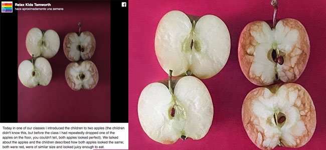 Cómo explicar con manzanas qué es el bullying Una profesora explica con manzanas qué es el bullying