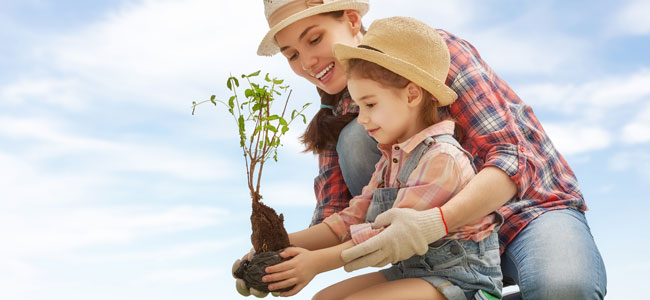 Por qué debemos plantar un árbol con los niños