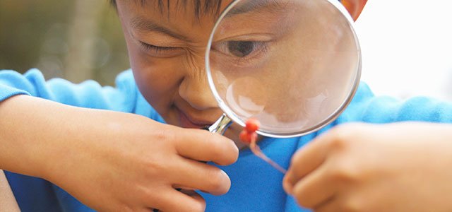 Niños observadores Niño observa