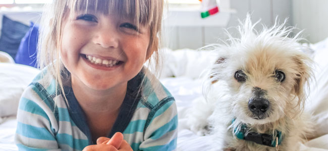 Enseñar al niño a cuidar de su mascota