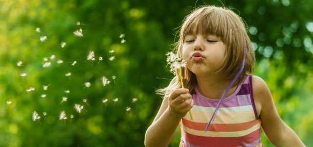 Cómo enseñar a los niños el ciclo de las plantas Cómo enseñar a los niños el ciclo de las plantas