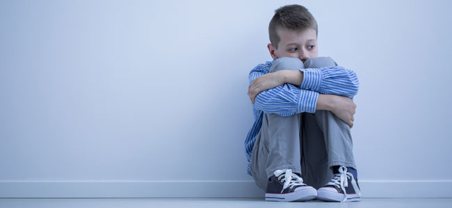 Trastorno degenerativo en la infancia Trastorno degenerativo en la infancia