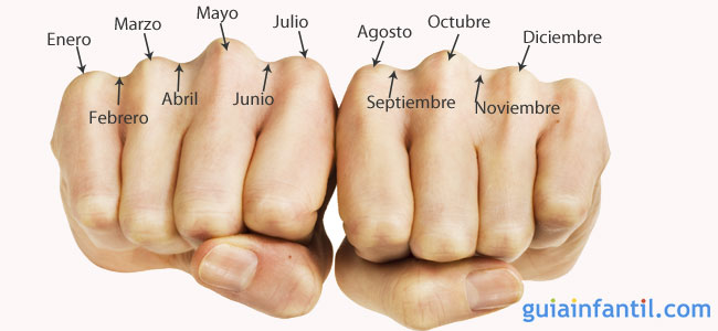 Truco para aprender cuántos días tienen los meses Truco para aprender cuántos días tienen los meses