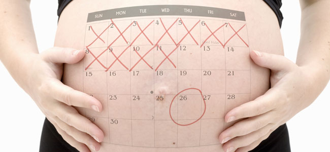 Calculadora Y Calendario Del Embarazo