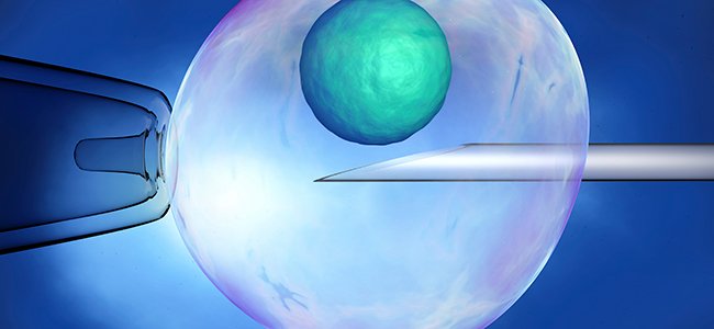 Congelación de óvulos