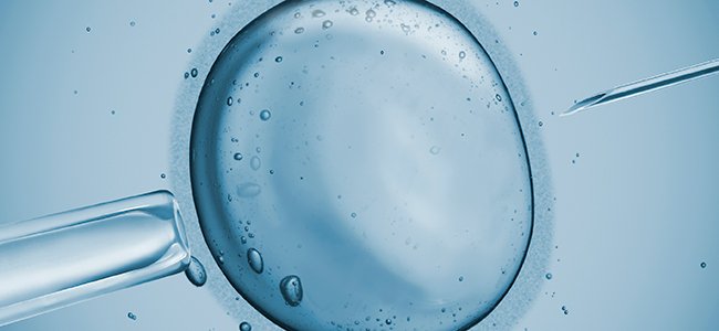 La Doctora Verdú nos habla sobre la donación de óvulos