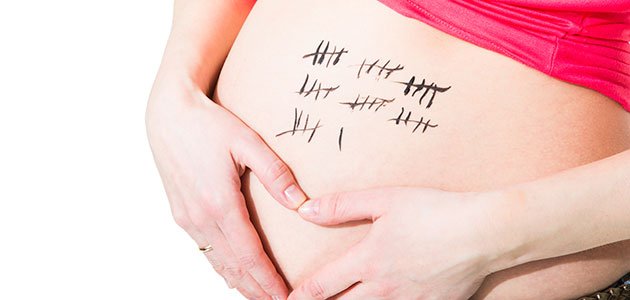 Embarazada en la semana 29 Embarazada tripa pintada