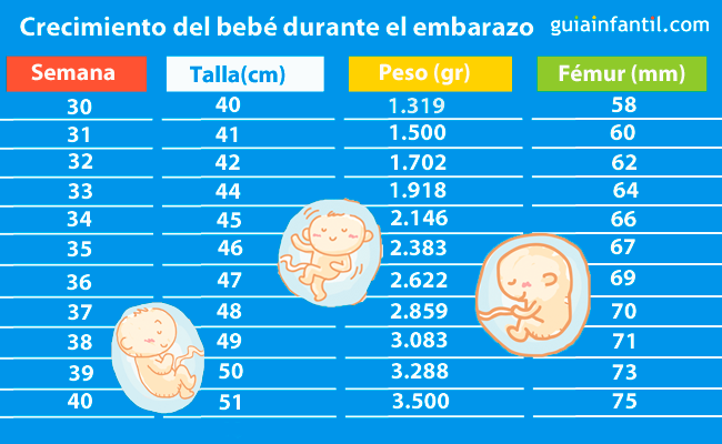 Tabla Para Saber Cuanto Mide Y Pesa El Bebe A Lo Largo Del Embarazo