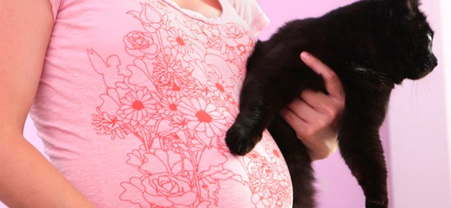 Toxoplasmosis en el embarazo