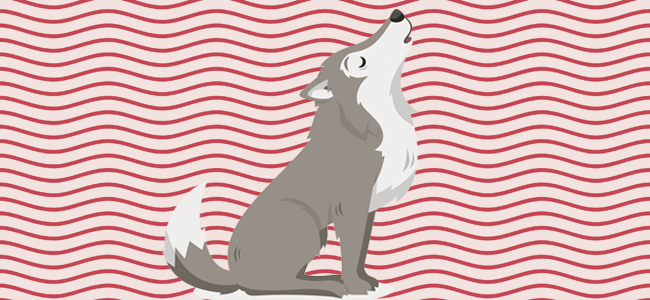 cada cosa en su lugar