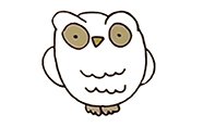 Aprender a dibujar un búho.