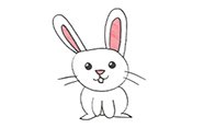 Aprender a dibujar un conejo.