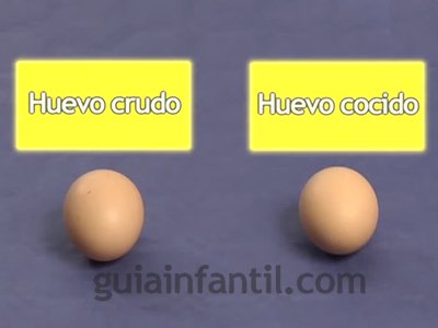 Diferenciar un huevo crudo de uno cocido. Paso 1