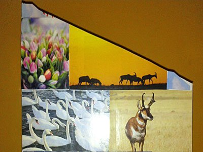 Manualidades con niños