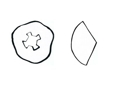 Plantilla de bruja de Halloween