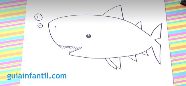 Dibujo de un tiburón. Paso 4.
