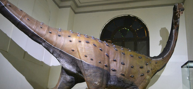 museo de historia natural museo de historia natural