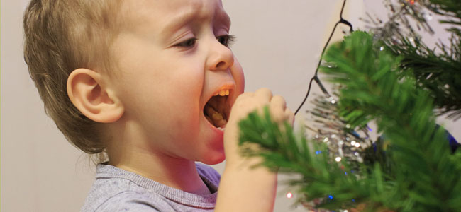 Momentos divertidos de la Navidad con niños Momentos divertidos de la Navidad con niños