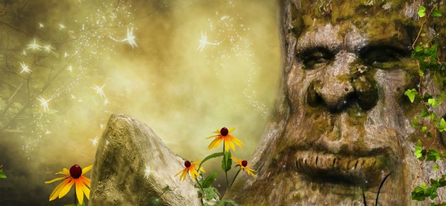 Cuentos en inglés. The Enchanted Forest. Cuentos en inglés. The Enchanted Forest.