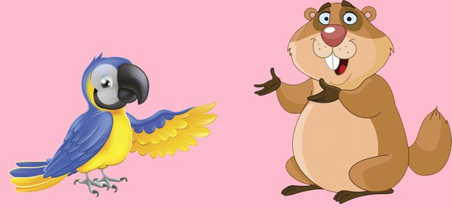 El guacamayo y la marmota. Fábulas de Iriarte