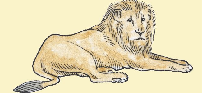 Fábula infantil: El león y la zorra