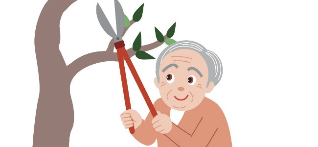 Fábula de Samaniego: El viejo y la muerte.