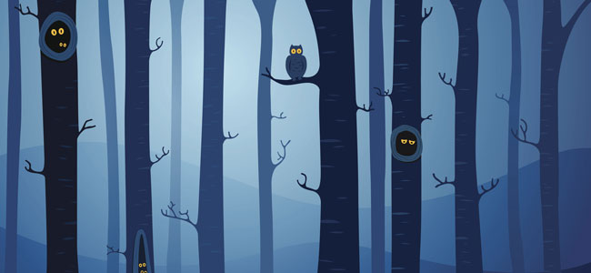 Cuento sobre la razón de que los búhos salgan solo por la noche Cuento sobre la razón de que los búhos salgan solo por la noche