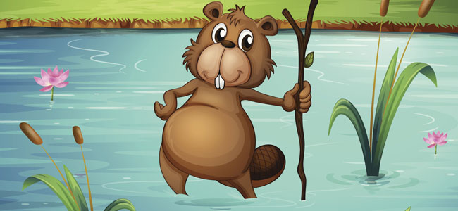 Bonito lugar, cuento para enseñar a los niños a valorar lo que tienen