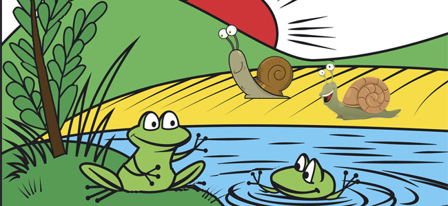 Fábula infantil Los caracoles Fábula infantil Los caracoles